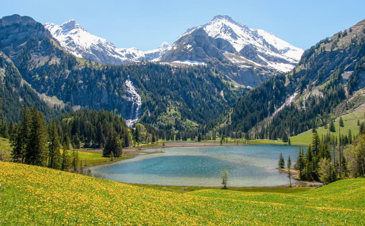 Hotel Alpenland Ґштад Екстер'єр фото
